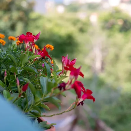 Holiday home Le Stanze Della Terrazza Sul Borgo Castel del Piano (Tuscany)
