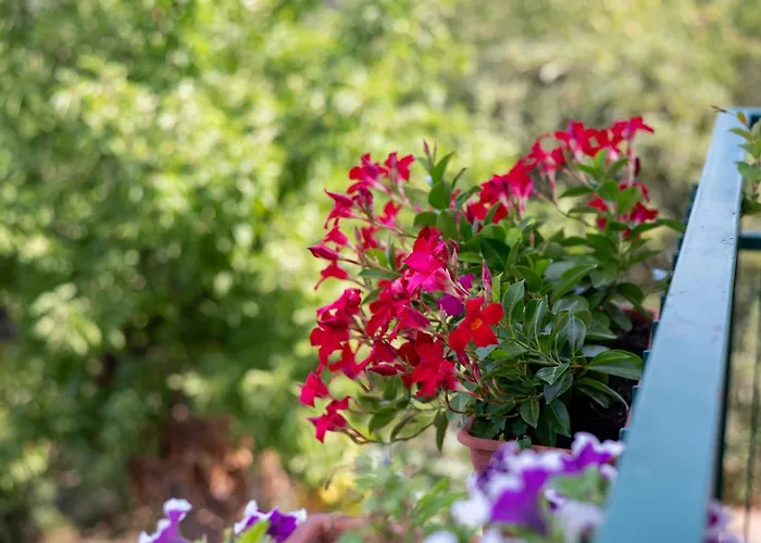 Le Stanze Della Terrazza Sul Borgo