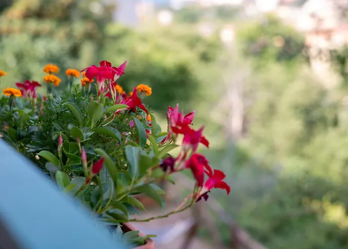 Vakantiehuis Le Stanze Della Terrazza Sul Borgo Castel del Piano (Tuscany)