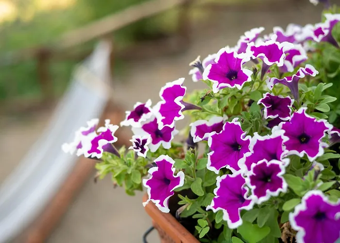 Le Stanze Della Terrazza Sul Borgo Vakantiehuis